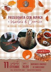 Alpaca&ceramica d'autunno